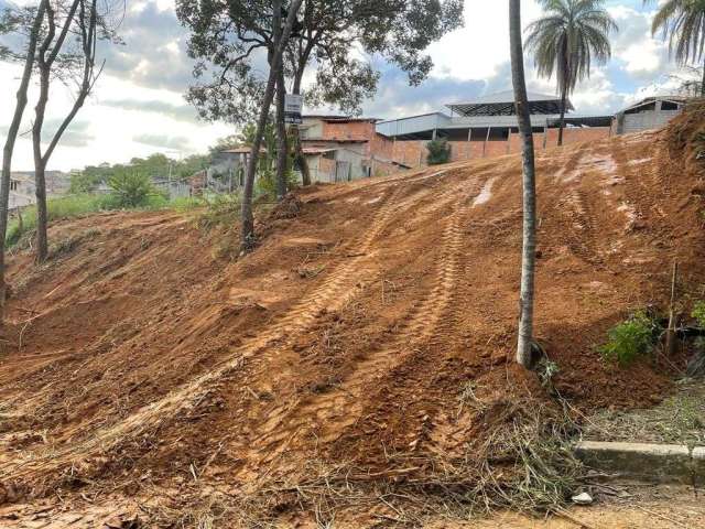 Terreno à venda, 1000 m² por R$ 250.000,00 - Sobradinho - Lagoa Santa/MG