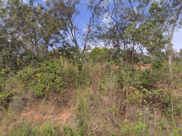 Terreno à venda, 5000 m² por R$ 800.000,00 - Vale dos Sonhos - Lagoa Santa/MG