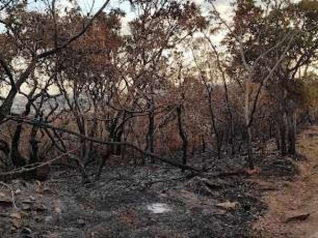 Terreno à venda, 5000 m² por R$ 400.000,00 - Vale dos Sonhos - Lagoa Santa/MG