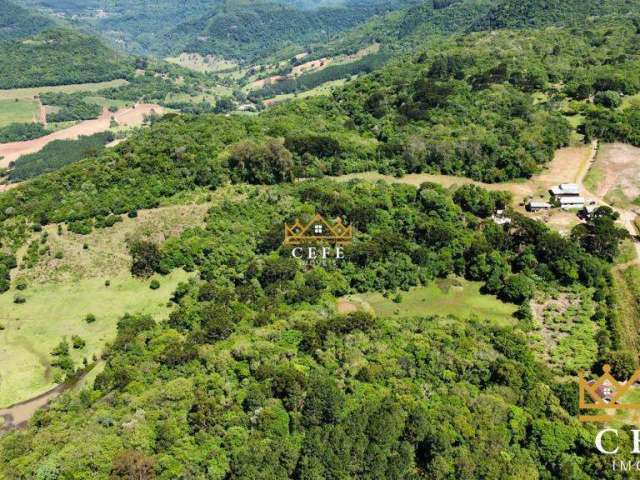 Área de terras de 45 hectares em Gramado / RS, com linda vista panorâmica!