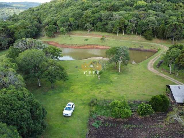 Sítio em Gramado: Encante-se com essa propriedade na Zona Rural!