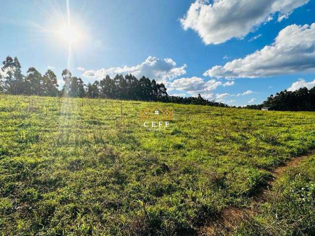 Área de 16,6 hectares - Ideal para sítio