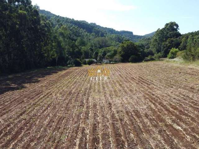 Sítio em Nova Petrópolis: oportunidade única no Pinhal Alto