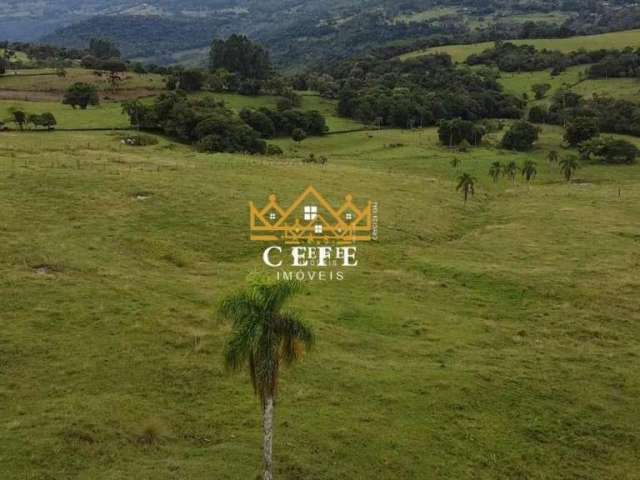 Área de terra de 10 hectares em Igrejinha - RS