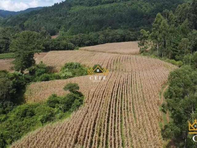 Área de 15.9 hectares em Santa Maria do Herval - RS - Serra Gaúcha