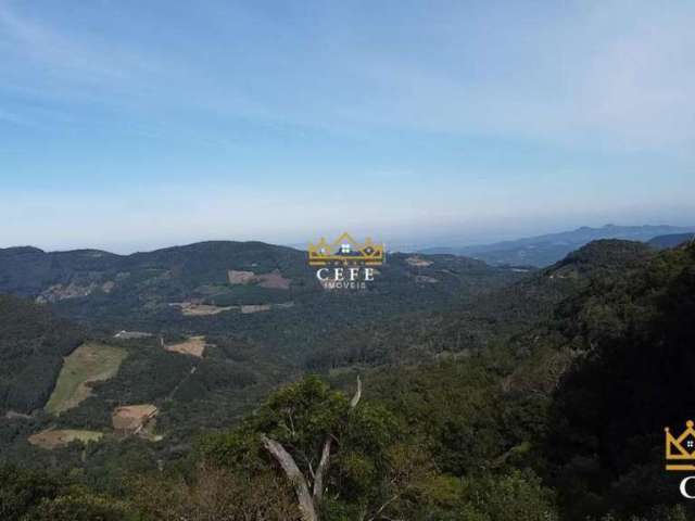 Linda Área de terras de 2 hectares em Morro Reuter / RS