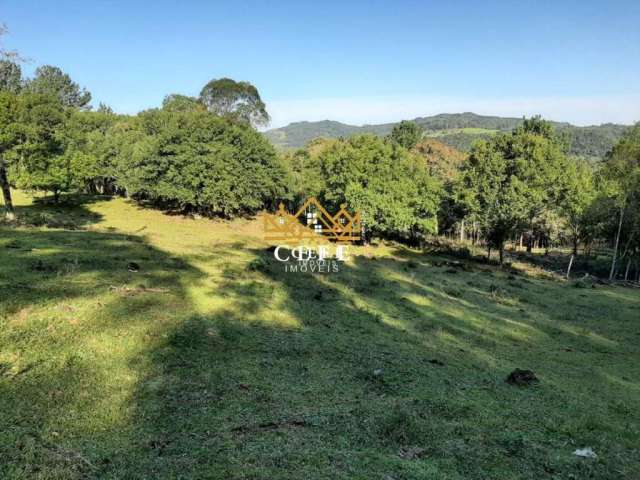 Área de terras de 10 hectares em São Francisco de Paula / RS.