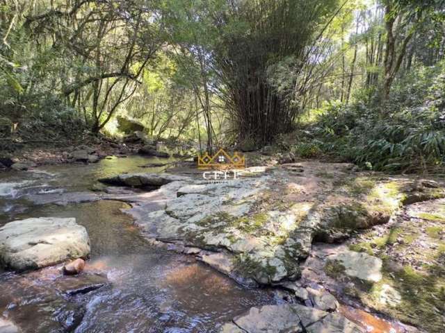 Belíssimo sítio com riacho em nova petrópolis-rs