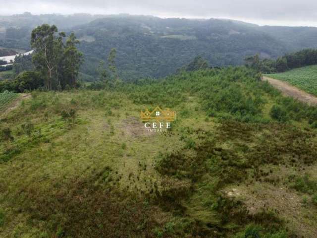 Chácara - Sítio para venda  no Bairro Zona Rural em Santa Maria do Herval