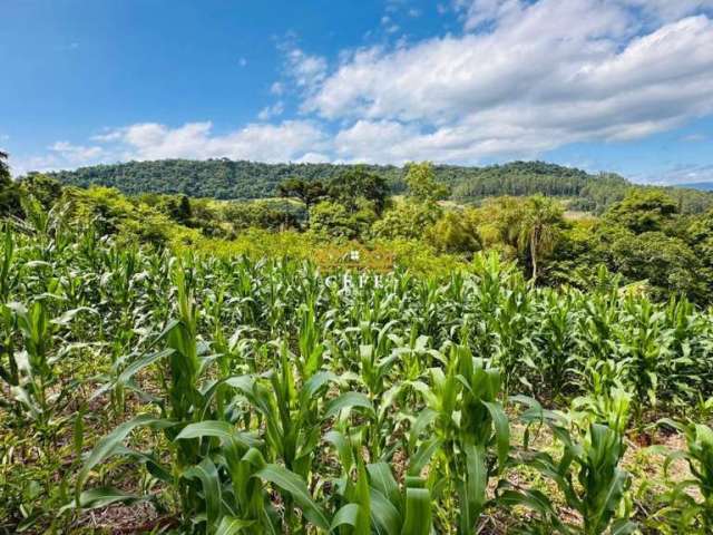 Sítio para venda em Três Coroas - Serra Grande, oportunidade única!