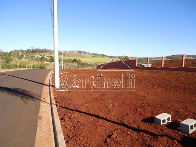 Terreno Padrão em Ribeirão Preto