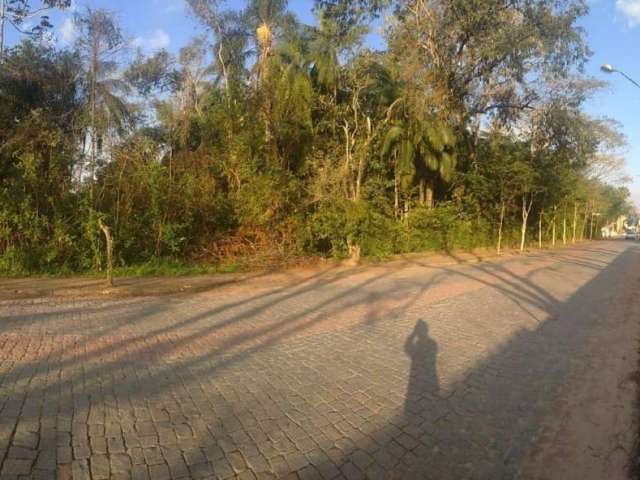 Terreno à venda no bairro Centro em Timbó/SC