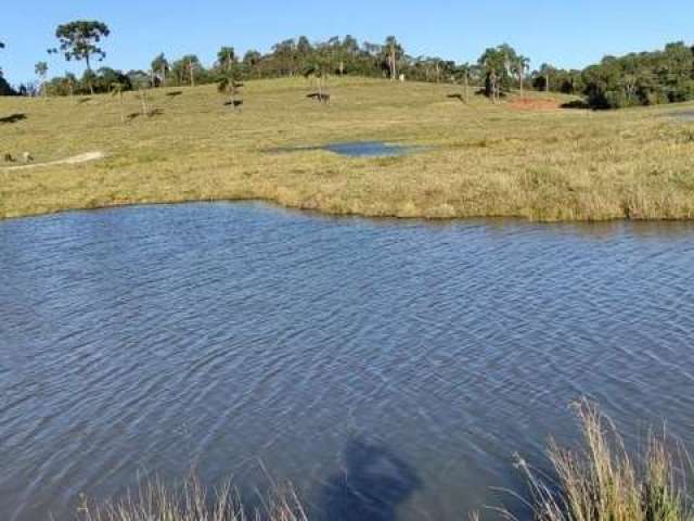 Lindo área para formação de chácara ou haras