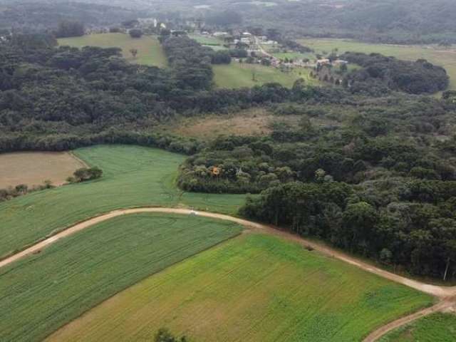 Chácara / sítio à venda na Colônia Balbino Cunha, Campo Largo  por R$ 595.000