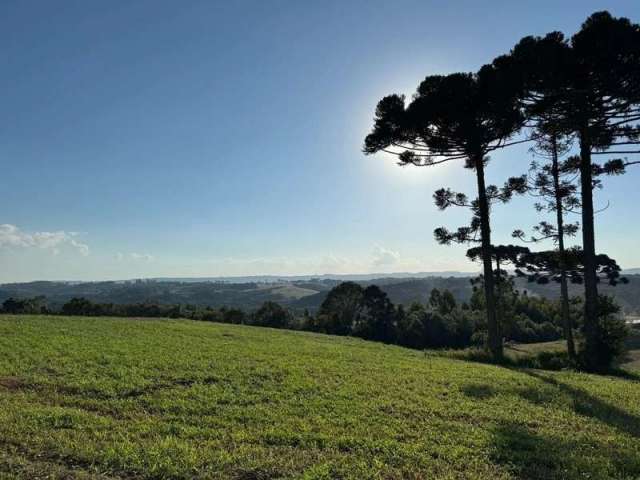 Chácaras no Rodeio Sto Antonio