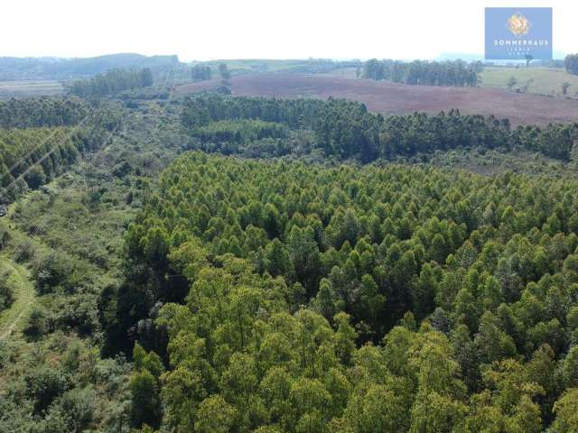 Área de Terras com 16,9 Hectares no Passo da Pimenta