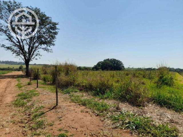 Chácara com 1 dormitório à venda, 23600 m² por R$ 450.000,00 - Zona Rural - Barretos/SP