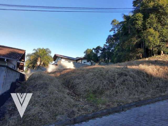 Terreno à venda, 906 m² por R$ 360.000,00 - Escola Agrícola - Blumenau/SC