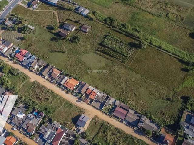 Terreno à venda, 15000 m² por R$ 1.200.000,00 - Estradas das Areias - Indaial/SC