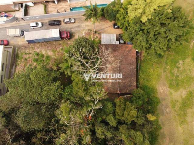 Terreno à venda, 1560 m² por R$ 960.000,00 - Velha - Blumenau/SC