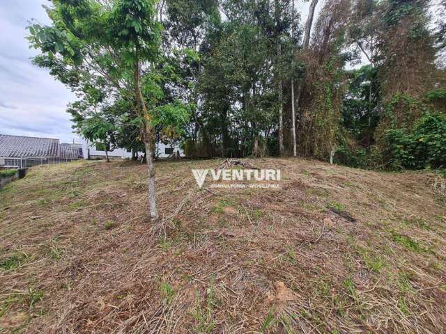 Terreno à venda, 450 m² por R$ 400.000,00 - Velha Central - Blumenau/SC