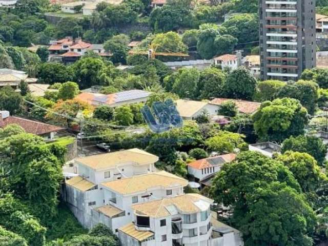 Terreno em condominio 1.400m2 com 3 Casas Triplex Alto Padrão à Venda em Condomínio no Horto Florestal