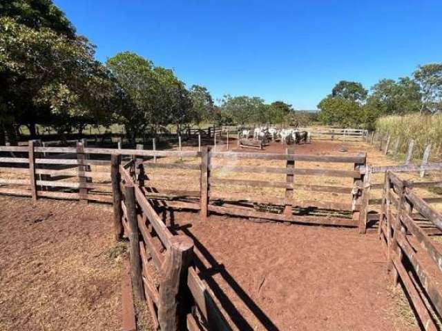 Fazenda com 2 salas à venda na Mt 244, 15, Zona Rural, Acorizal por R$ 1.900.000