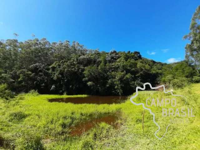 Área rural 35 hectares em santa branca !