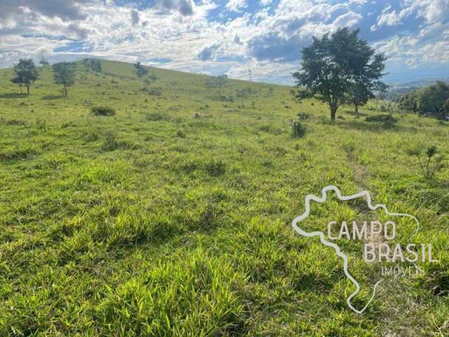 Área rural 20.000m²  na tamoios - são josé dos campos ! com pasto formado !