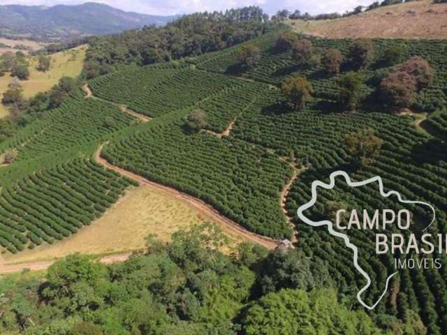 Fazenda 41,73 alqueires em cambuquira !