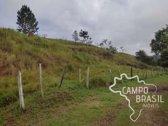 Área rural 150.000m² em jambeiro com topografia mista!