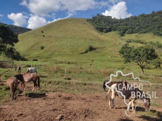 Fazenda 50 alqueires na zona norte de são josé dos campos, próxima ao asfalto!