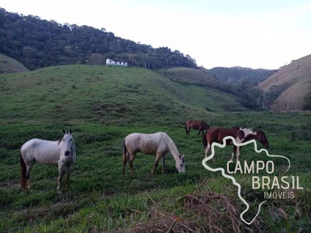 Ótimo sítio 6 alqueires em são francisco xavier com muita água!