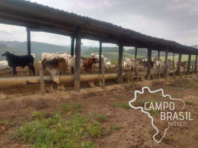 Fazenda com 1 sala à venda na Centro, Centro, Tremembé por R$ 10.000.000