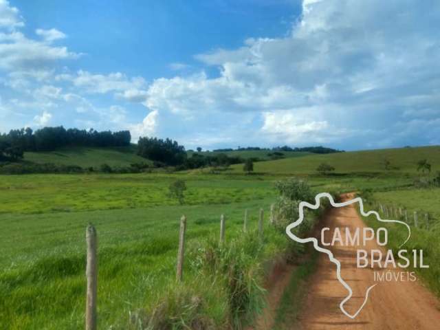 Fazenda no Sul de Minas com 157 hectares. Toda tratorável, rica em água.