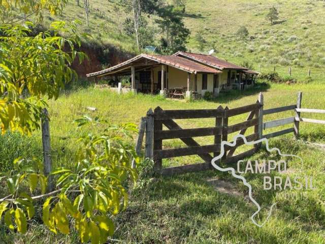 Sítio com curral, nascente, pasto formado.