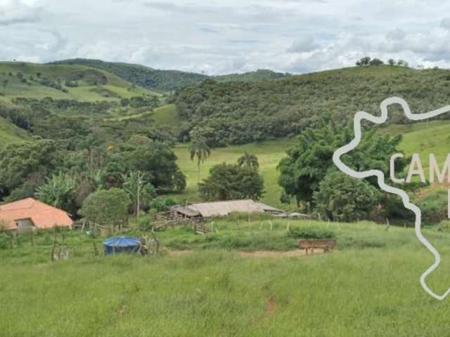 Fazenda no Sul de Minas  81 hectares com pasto formado!