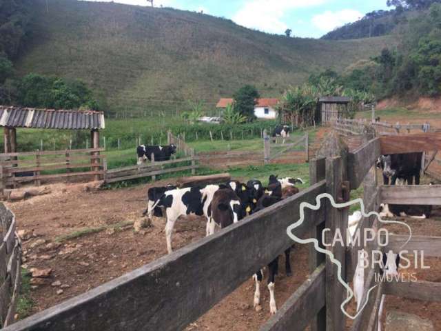 Oportunidade rural! Fazenda para pecuária e agricultura!