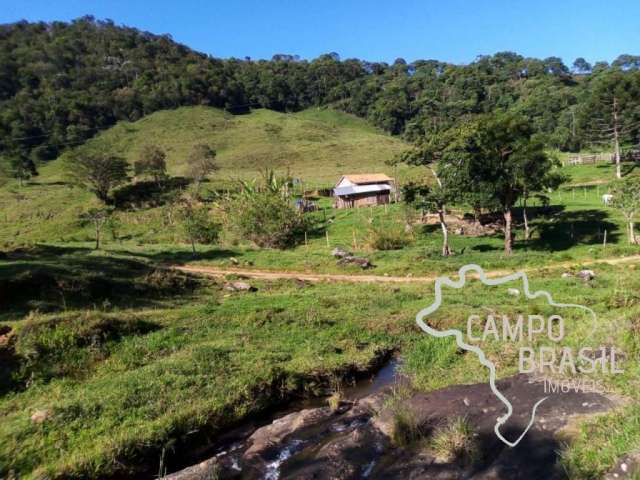 Raridade na serra da mantiqueira ! sítio 38 hectares com pasto formado em bocaina - mg !