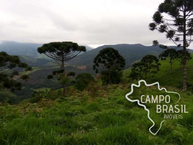 Raridade ! sítio na serra da bocaína - mg com cachoeira e rico em água !