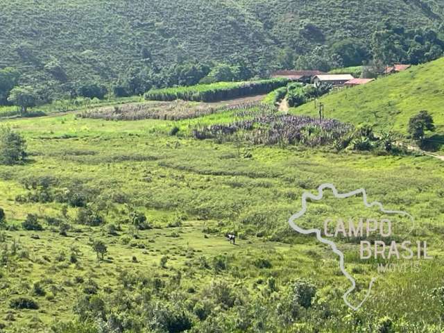 Sítio 10 alqueires ideal para pecuária de leite e corte em são josé dos campos !