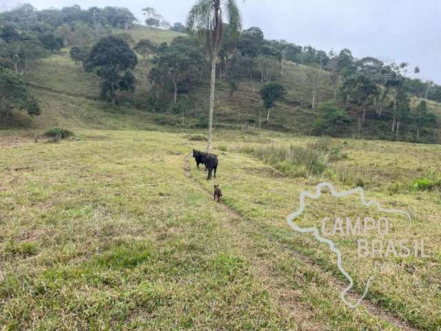 Área rural 4 alqueires escriturada , com nascente e de fácil acesso em são josé dos campos !