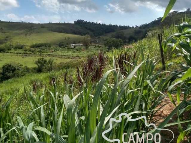 Sítio 3,7 hectares formado em paraibuna !