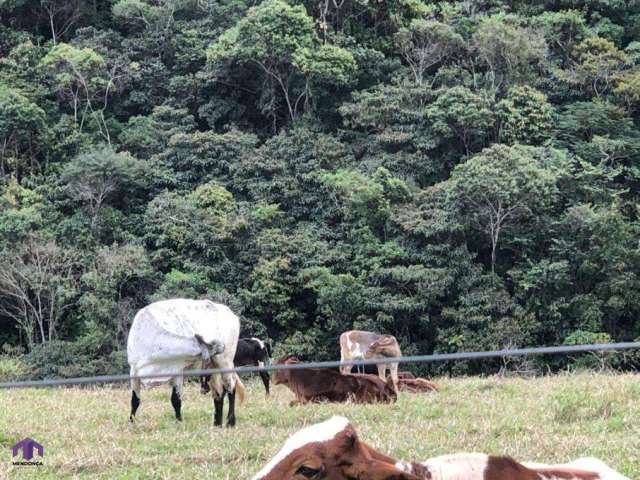 Fazenda Rural Antônio Dias - MG - Zona Rural