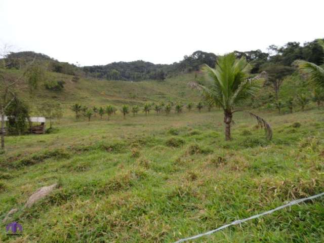 Sítio Terreno Rural Antônio Dias - MG - Zona Rural