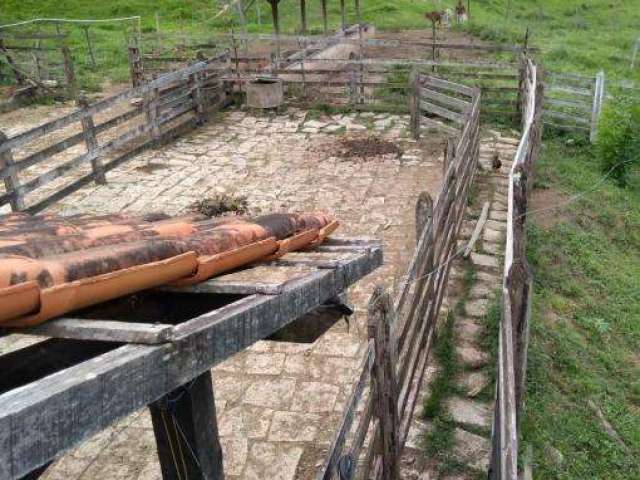 Fazenda Terreno Rural São Domingos do Prata - MG - Zona Rural