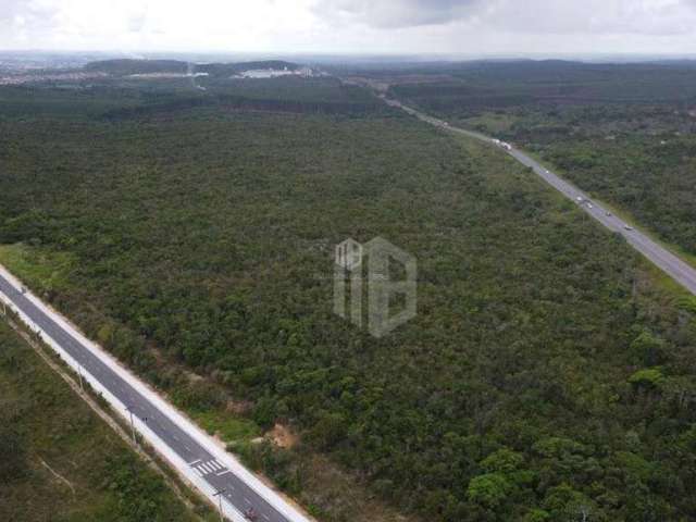 620.000m² plano em localização com fácil acesso pela BR 101 Terreno para Grandes Empreendimentos, loteamentos, supermercados, Alagoinhas Bahia