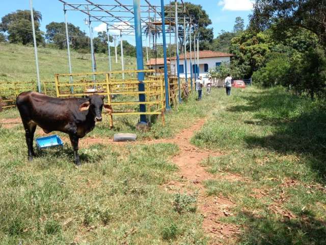 Excelente fazenda 43 hectares  venda com casa na região de Rio Manso