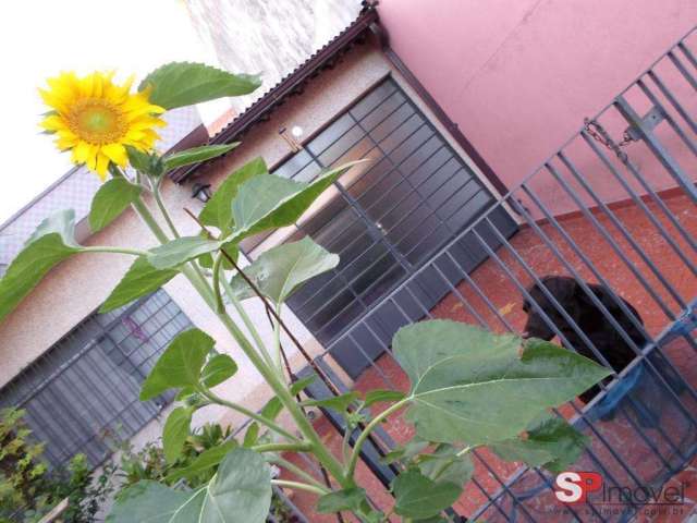 Terreno à venda, Vila Guilhermina - São Paulo/SP