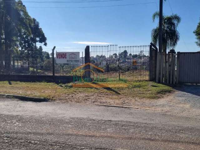 Terreno comercial à venda na Rua das Amoreiras, 772, Lamenha Grande, Almirante Tamandaré por R$ 2.250.000